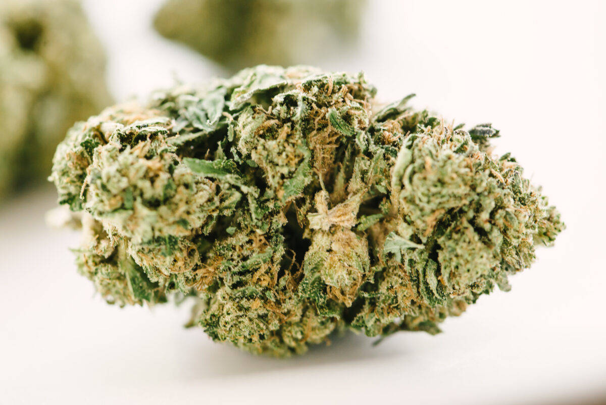 Can’t Wind Down After A Stressful Day? The Strongest THCA Strains Solve That